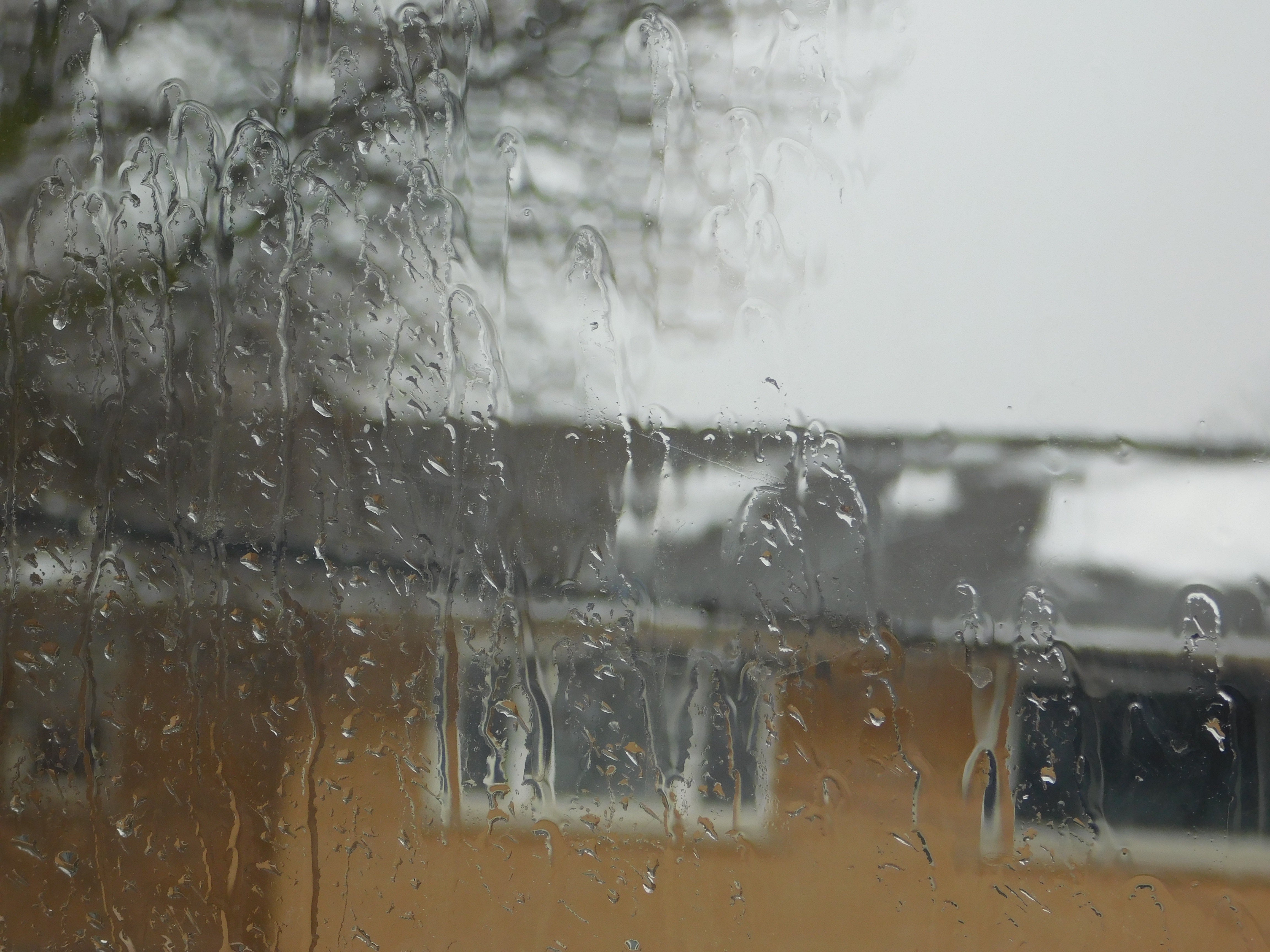coffee in the rain