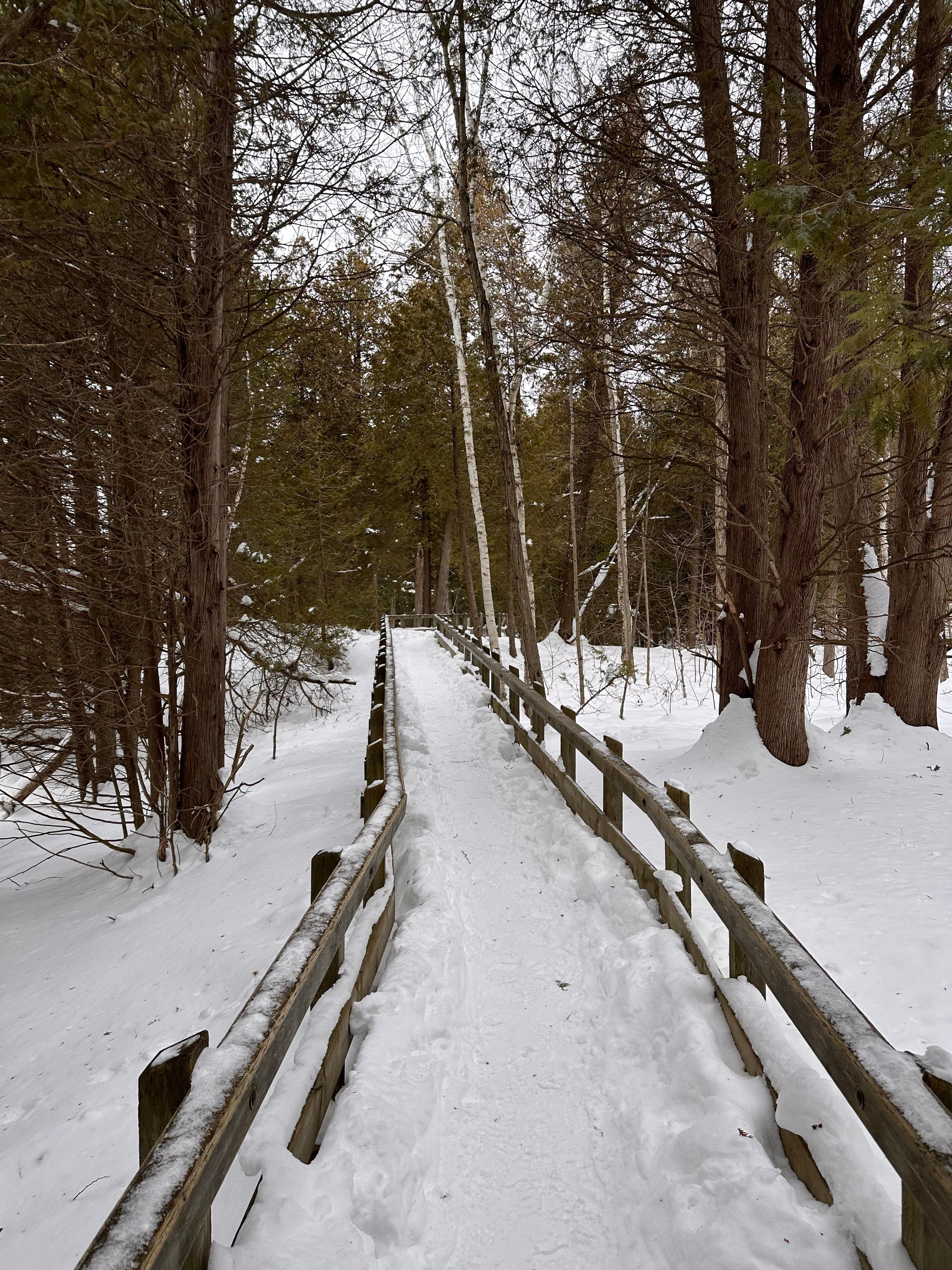 Control and No Surprises