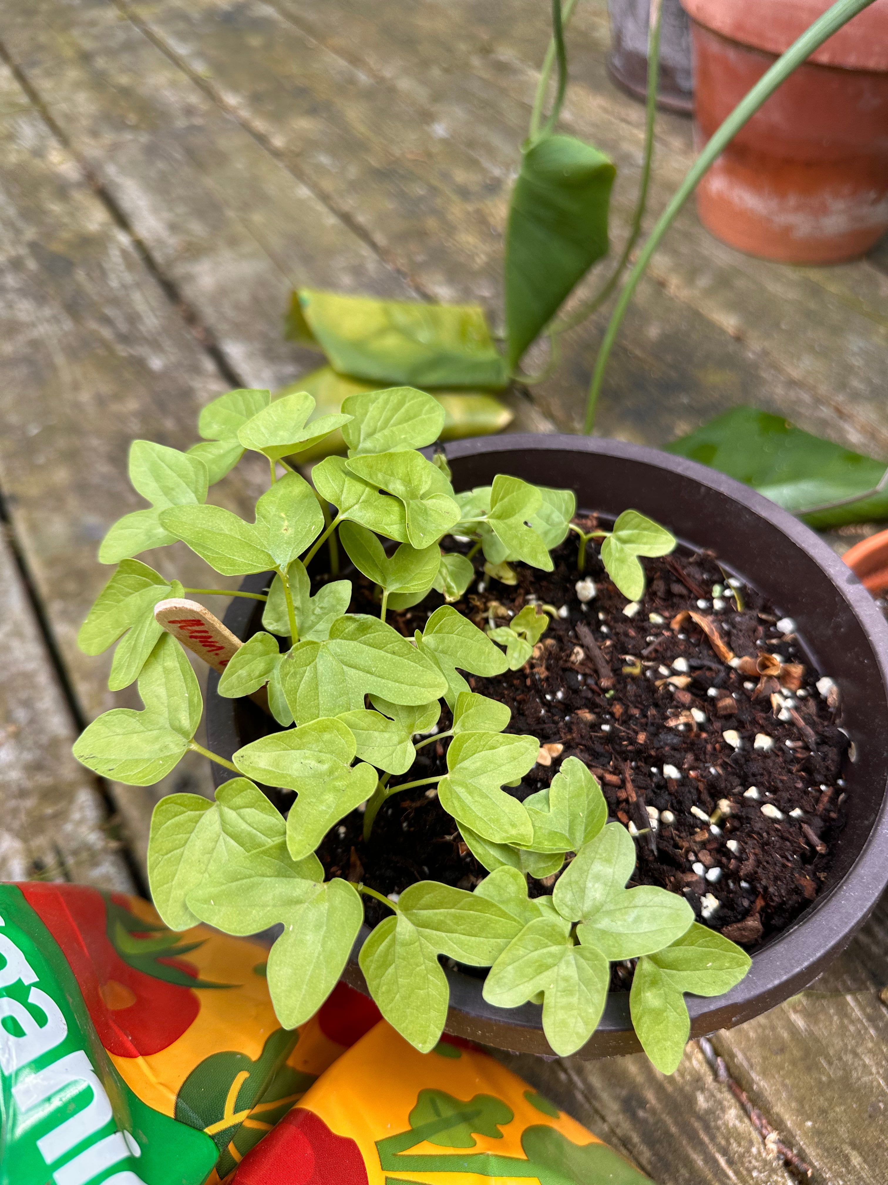 At least we have each other