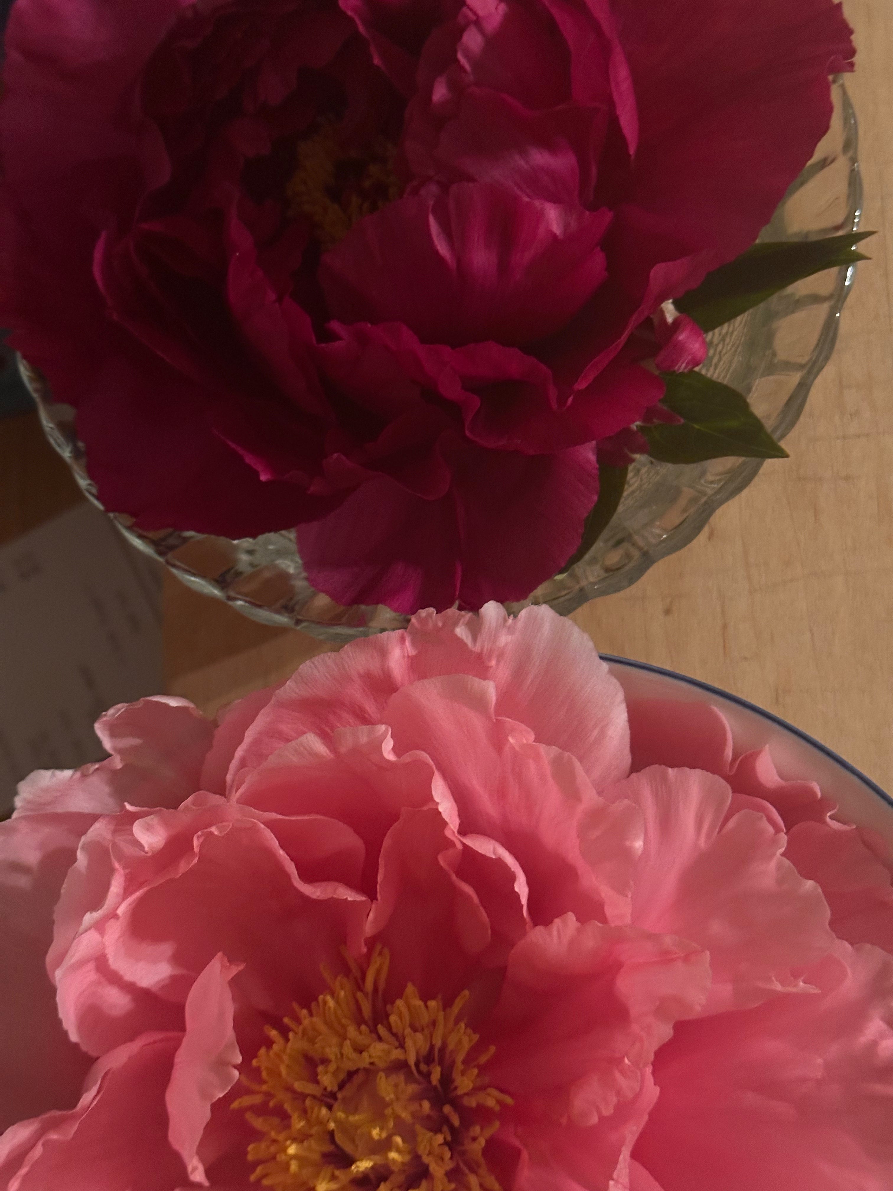 Taking it in stride: Defining acceptance outside of giving up