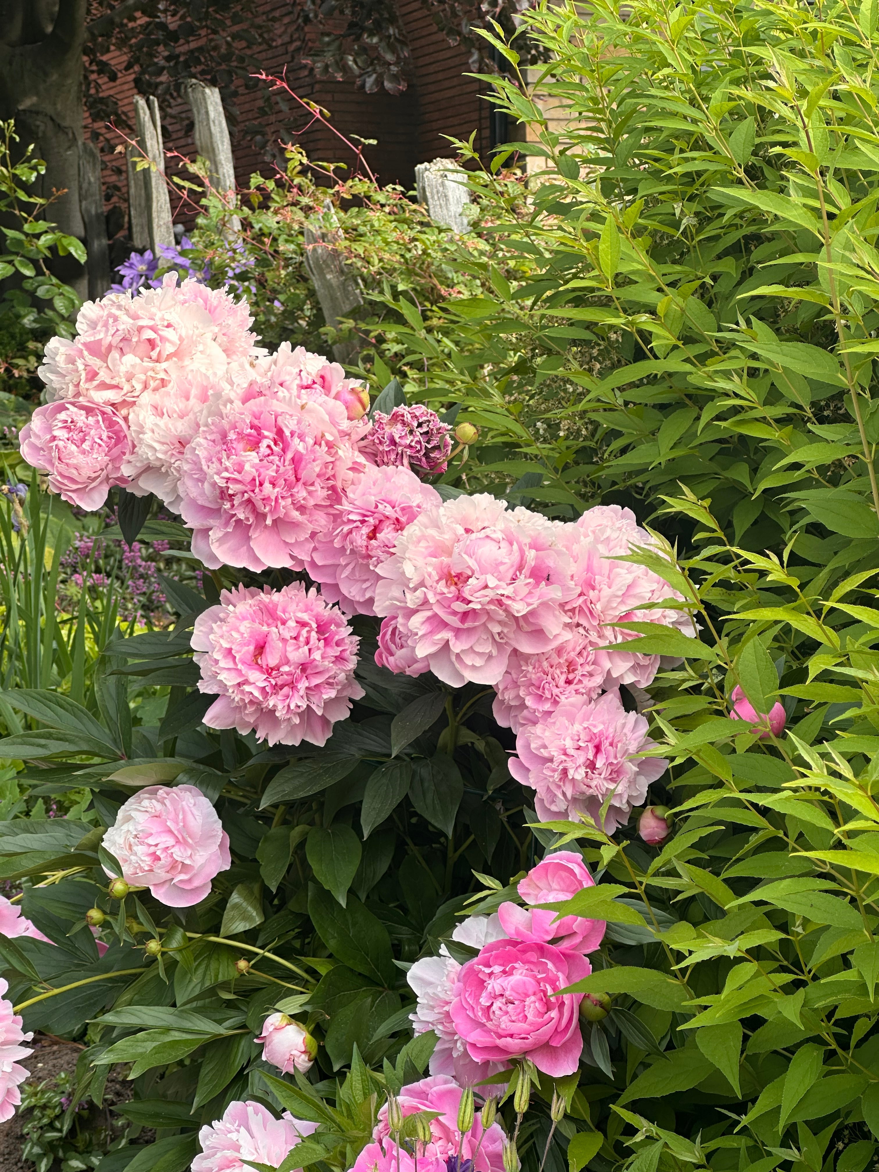 where's the soul in it?