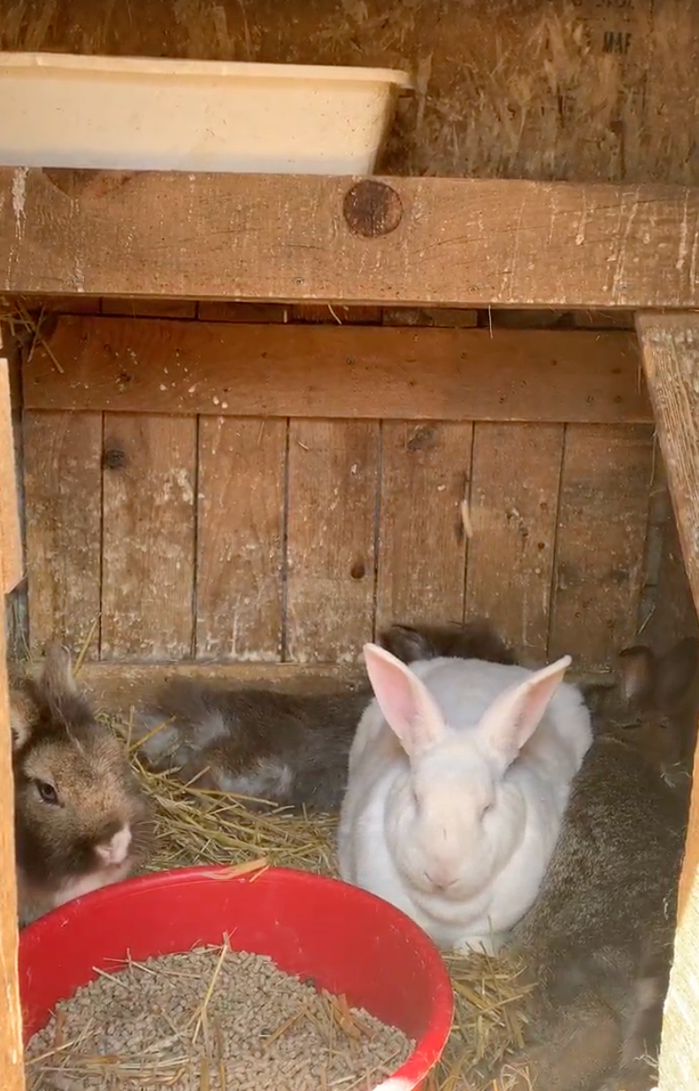 it's just an expression