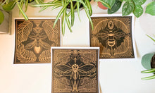 Load image into Gallery viewer, &#39;Little Things&#39; Print Set  | Insect Art Print, Bug Illustration, Wall Decor, Witchy Vibes, Bedroom Decor, New Age Art
