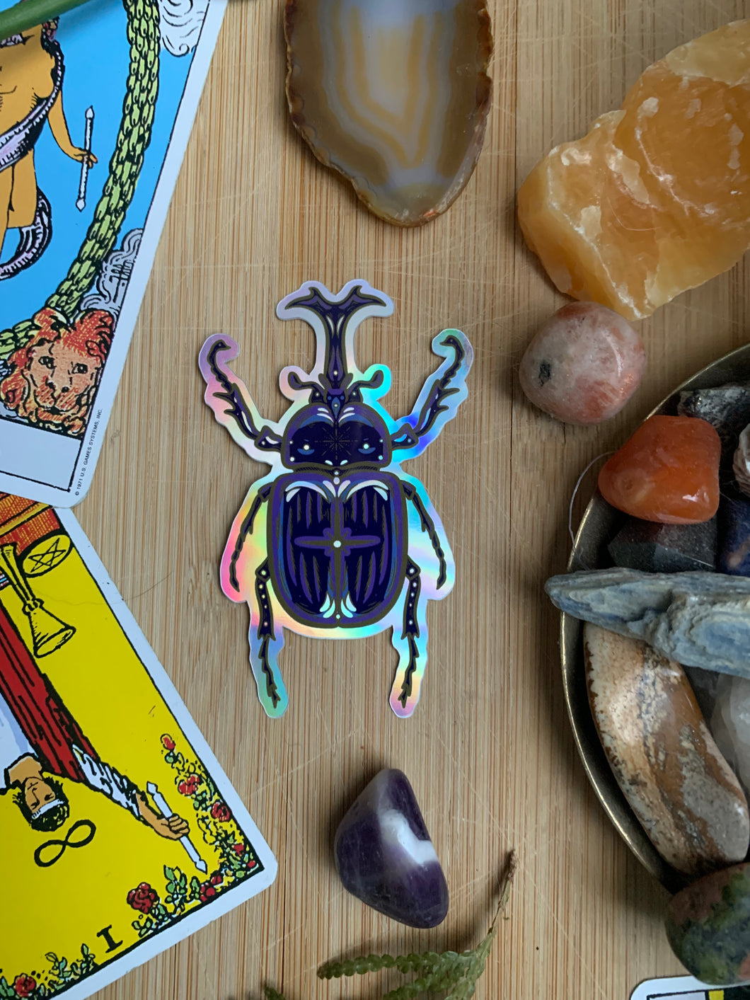 Stag Beetle Holographic Sticker | Bug Stickers, Insect Adhesives, Holographic Sticker